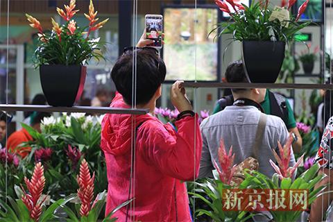 22届中国国际花卉园艺 第二十届中国国际花卉园艺展览会在京开幕