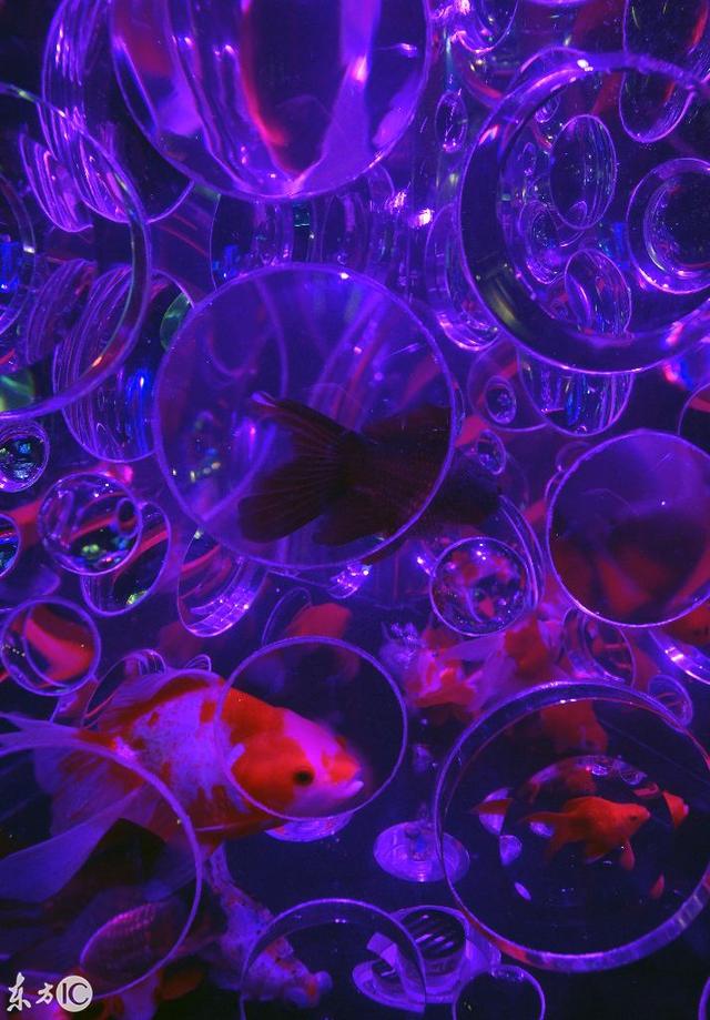 水族工程展
