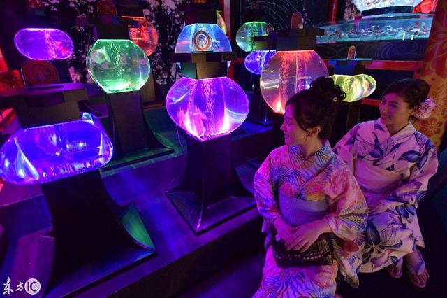 水族工程展