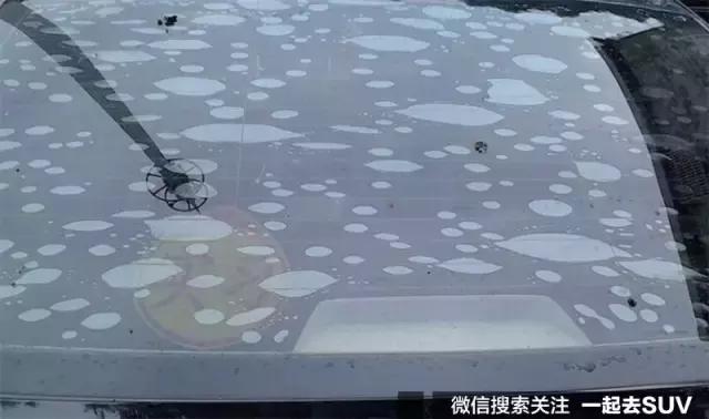 后挡风玻璃led显示屏(挡风玻璃led屏评测)