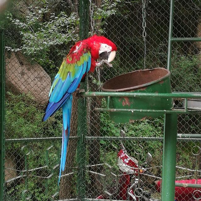 寒之于水