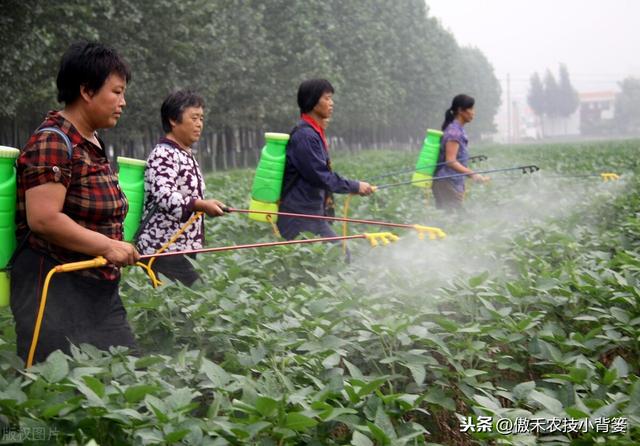 这种药物可以防治作物上的各类真菌性病害，而且用药效果特别好6