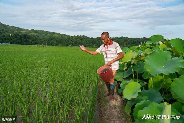 叶面肥使用看似简单，但未必人人能用对！10个方法教你提高肥效13