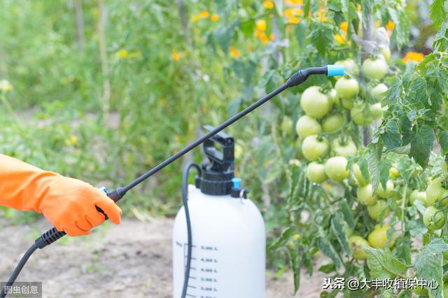 代森锰锌、吡唑醚菌酯……最全杀菌剂用药指南！看完都明白了！6