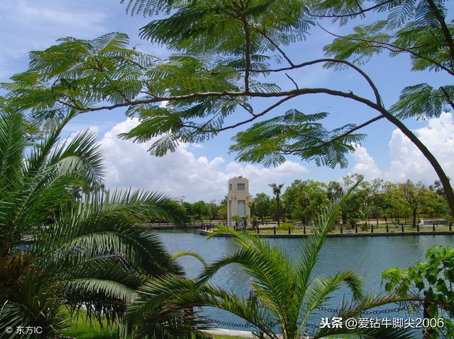 珠海景点英语(珠海最美十大公园)