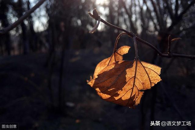 人生哲理经典语录39条，助你坦然走好生命旅途