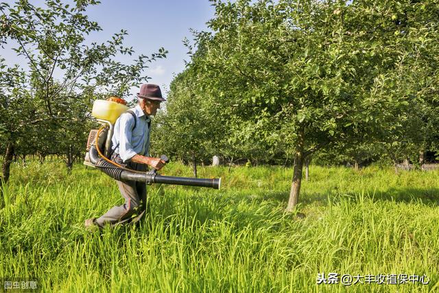 这个除草剂效果真是好！杂草30分钟枯萎，3天死亡！防效近100%3