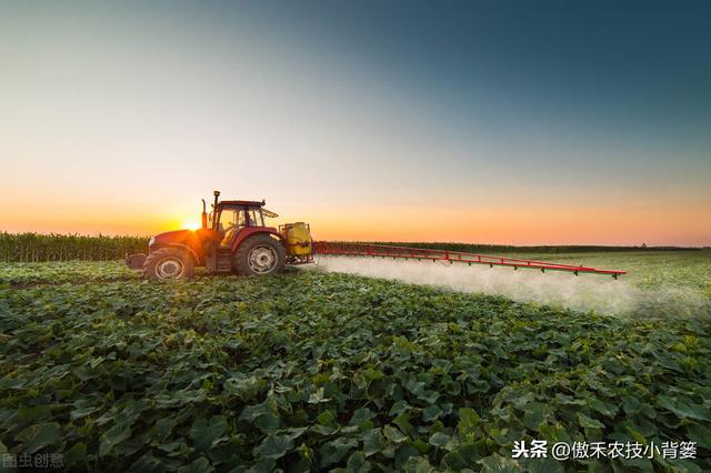 芸苔素内酯虽然好，但更要知道它好在哪、怎么选、怎么用才更好9