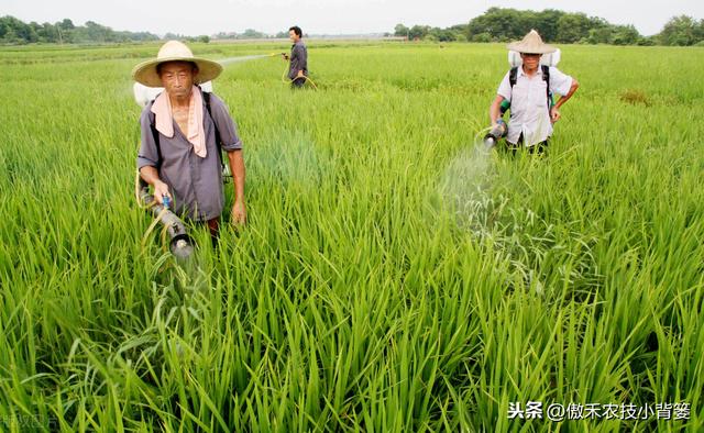 兼有杀菌+治疗作用、可防治细菌真菌病毒病害，这种杀菌剂不简单