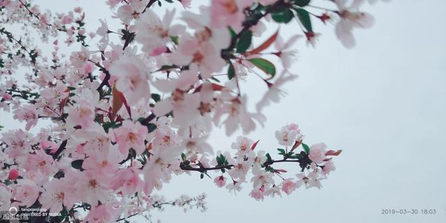 中医七情六欲是指什么意思