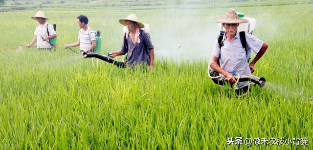 兼有杀菌+治疗作用、可防治细菌真菌病毒病害，这种杀菌剂不简单3