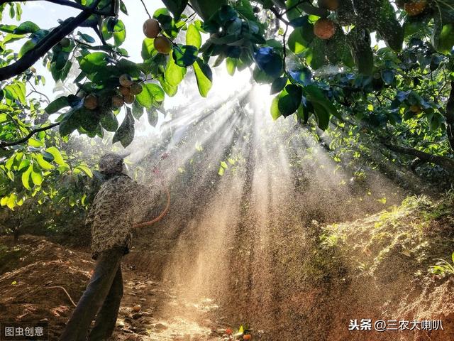 农民打农药，最害怕有雨！其实有些农药，下了雨照样有效3