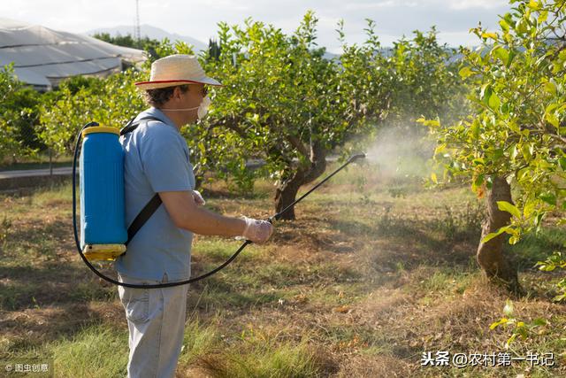 农民用的除草剂是什么构成的？除草原理是什么？4