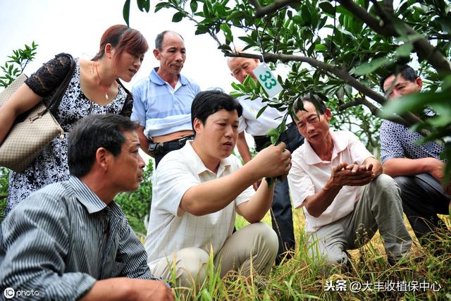 代森锰锌、吡唑醚菌酯……最全杀菌剂用药指南！看完都明白了！2