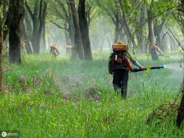 14种常见的除草剂介绍，以及使用注意事项3