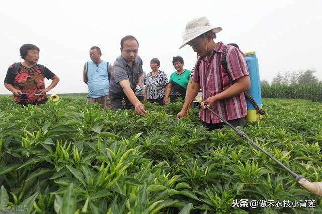 这种药物可以防治作物上的各类真菌性病害，而且用药效果特别好12