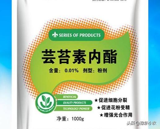 辣椒农药喷施对了防病，使用不当则会导致药害，该如何避免药害呢6