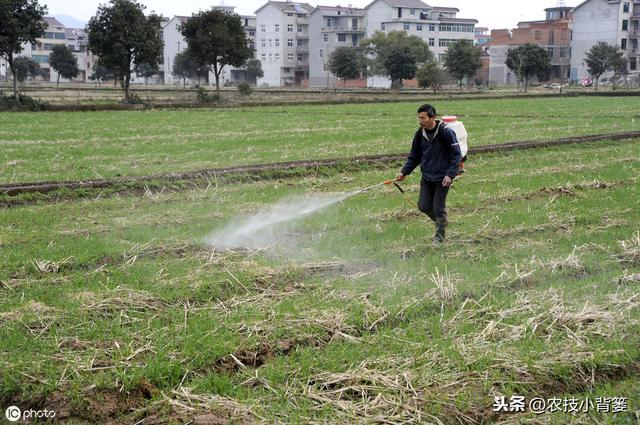 草甘膦与草铵膦同属广谱、高效、灭生类除草剂，差别竟然这么大11