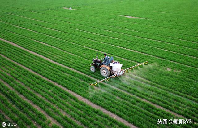 最安全的大豆、花生、油菜等除草剂，除草速度快，干净又彻底5