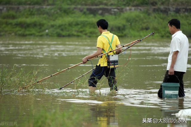 封海期是什么时候