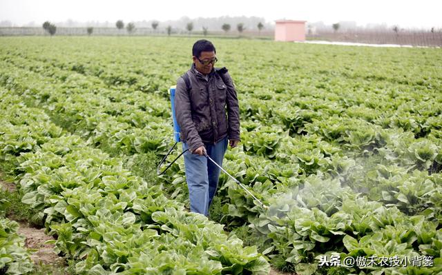 兼有杀菌+治疗作用、可防治细菌真菌病毒病害，这种杀菌剂不简单9