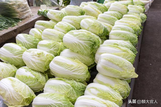 “娃娃菜”和“大白菜”有啥区别？口感、营养差别都大，别买错了8