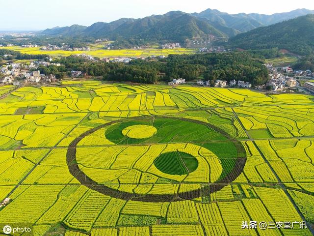 油菜马上进入种植期，提前了解各种草害和病害，这篇文章可以学习5