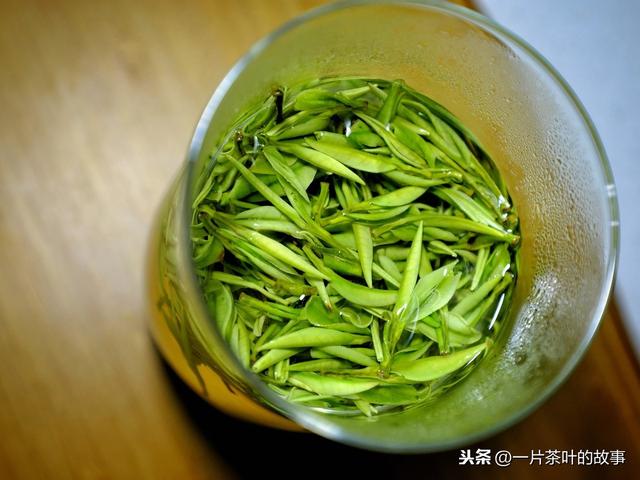 绿茶冲泡温度