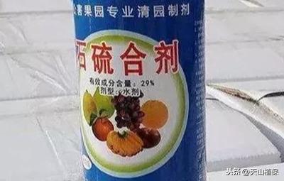 石硫合剂使用注意事项及配置方法