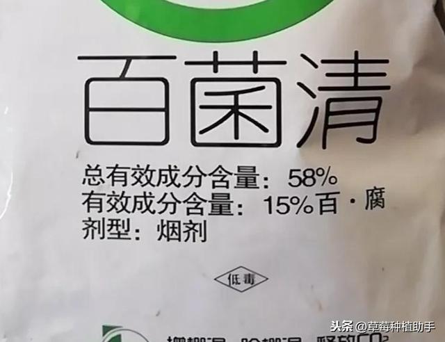 草莓花期能打药吗？花期前后打药是有讲究的，你打对了吗？5