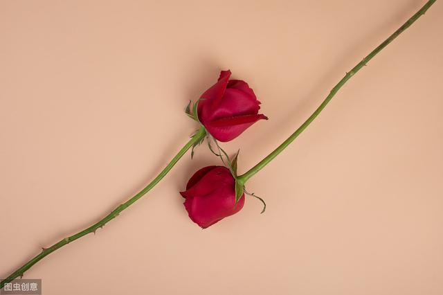 6205345905_d59a564256-160x160