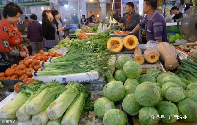 广西贺州市提升农产品品质大力开拓粤港澳大市场5