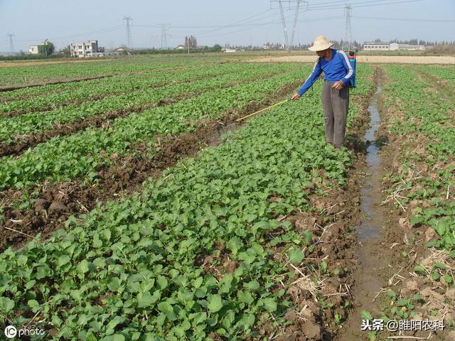 这个除草剂可防治30多种杂草，对芦苇、白茅等10多种恶性杂草特效