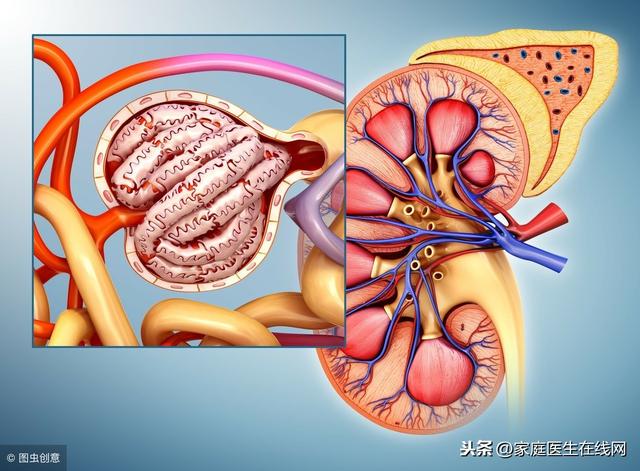 肾功能正常值