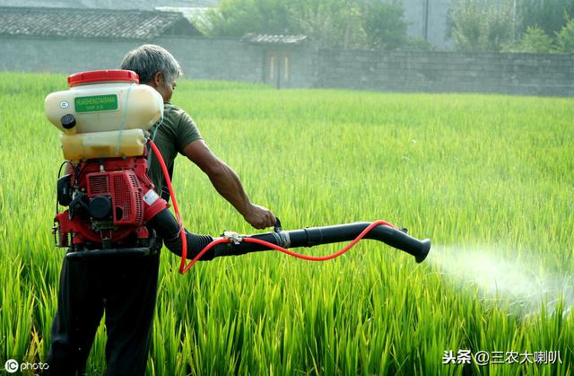 作物病虫害严重，不知道用啥药怎么办？最新指南，名单大全！7