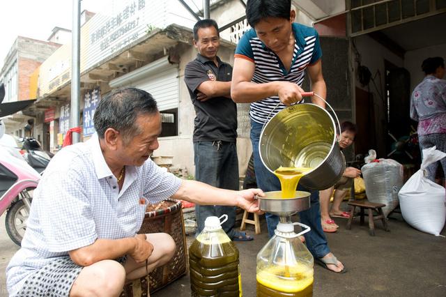 玉米榨油机多少钱一台