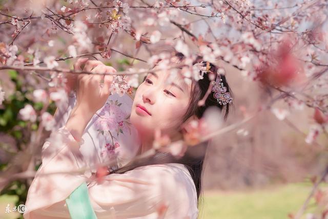 都市小说免费阅读全文顾北宸（乔温染顾北宸小说）