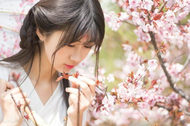 沈轻舞顾靖风免费全文(沈轻舞顾靖风小说全集完整版)