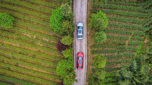 为啥比亚迪敢停产传统燃油车，试驾完汉DM-i以后我悟了