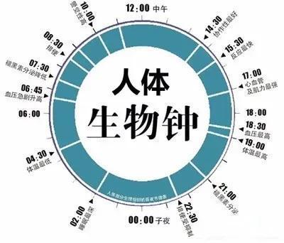 经常熬夜的男人吃什么？