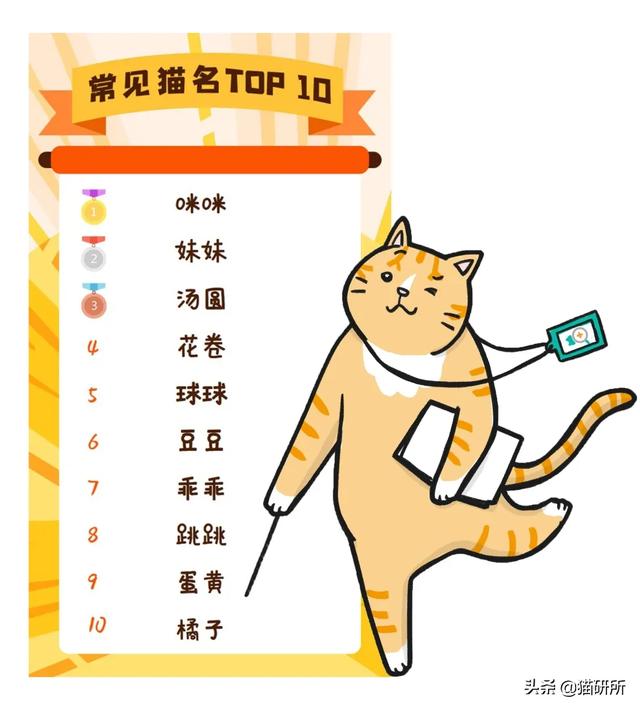 猫名