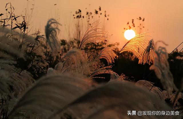 不赌天意，不猜人心，顺其自然，随遇而安
