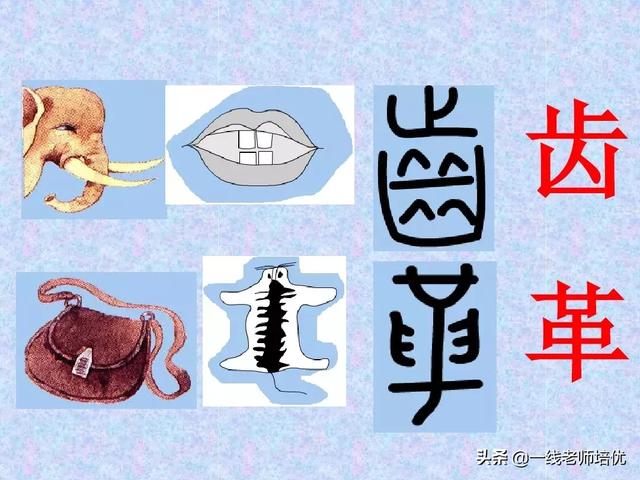 象形字有哪些 象形字有哪些（仰视取象的象形字有哪些） 生活