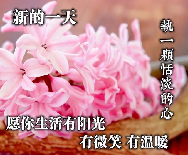 早安问候动态表情文字 微信新美丽留言图片-站库网