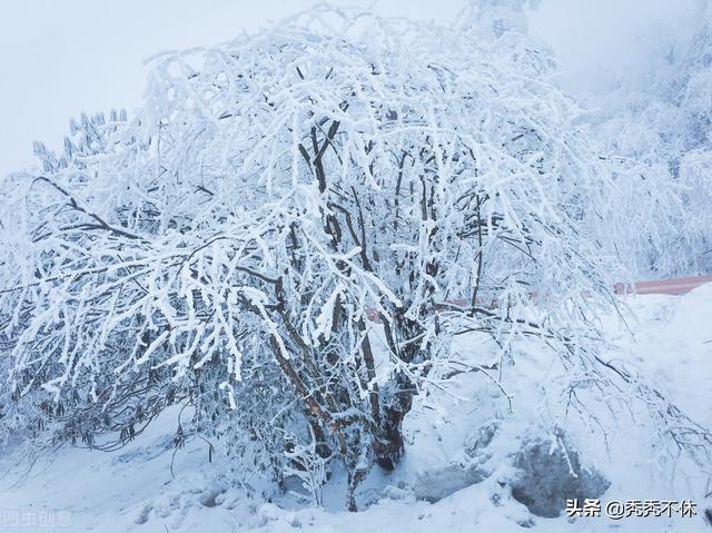玉树琼枝的意思是什么季节，古人形容冬天的词语？