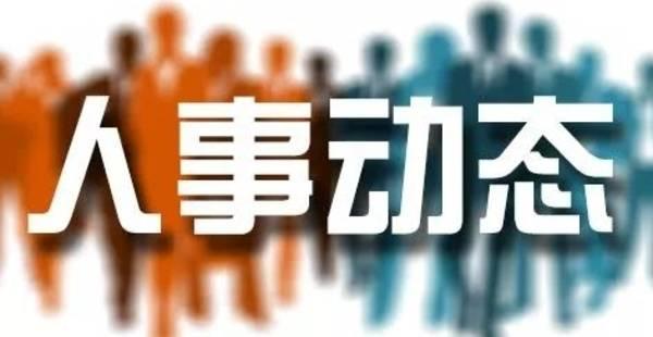 2019年德国汉诺威木工机械展