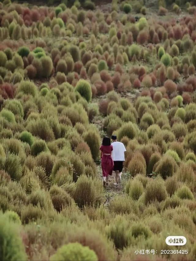 成都周边景点