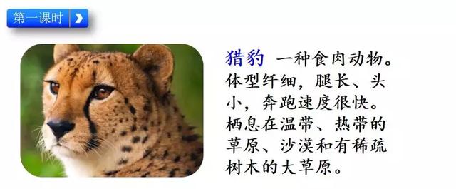 赤的组词