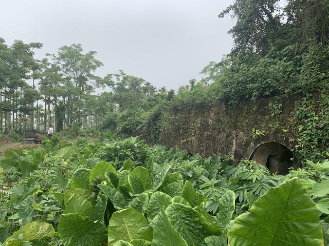 屯昌风化砂制砂机厂家