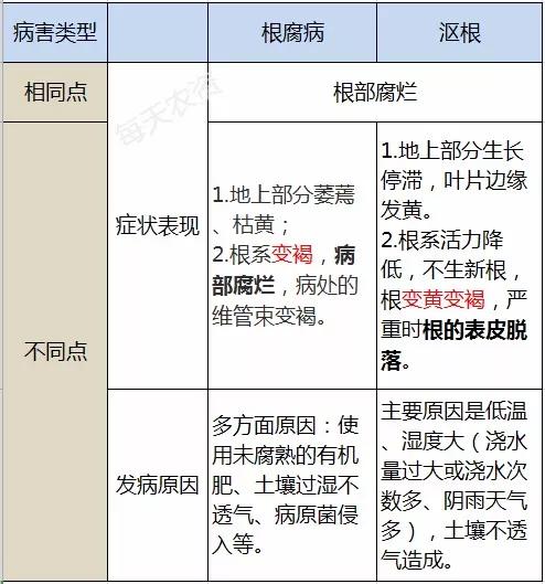 根部病害一定要看，看完就知道你遇到的是不是了6